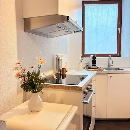 Appartement Stylisches 2 Designer City-apartment Nahe Hockenheimring Bis 4 Gaeste