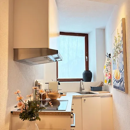 Appartement Stylisches 2 Designer City-apartment Nahe Hockenheimring Bis 4 Gaeste Hockenheim